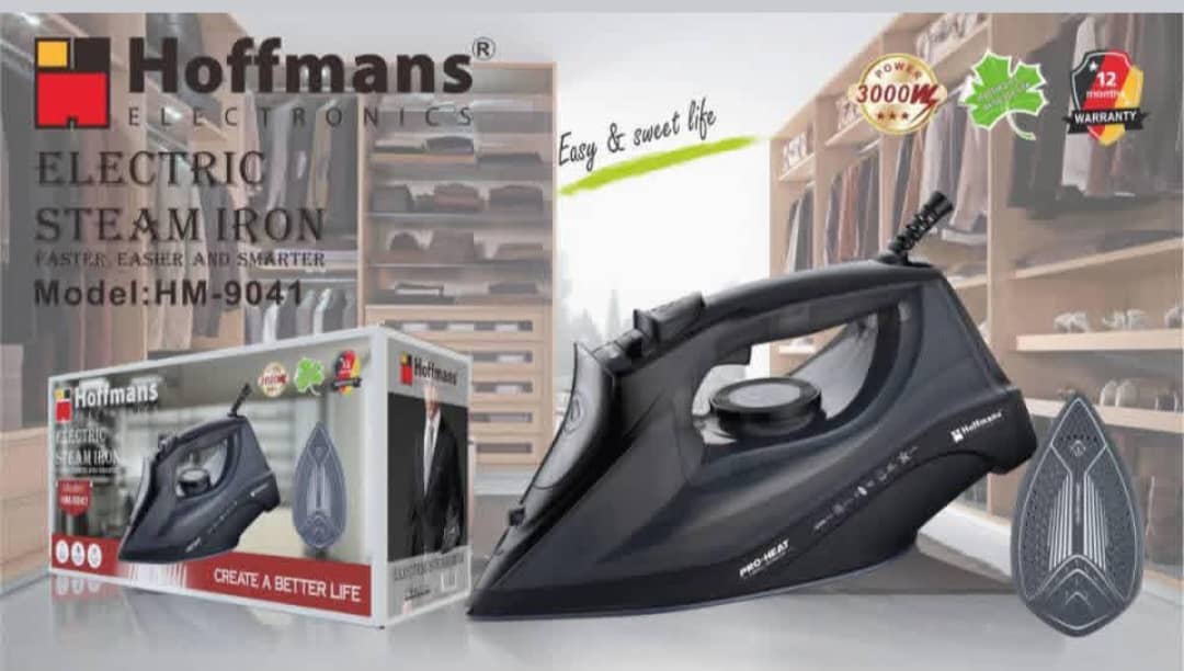 Hoffmans Electric Steam Iron HM - 9041